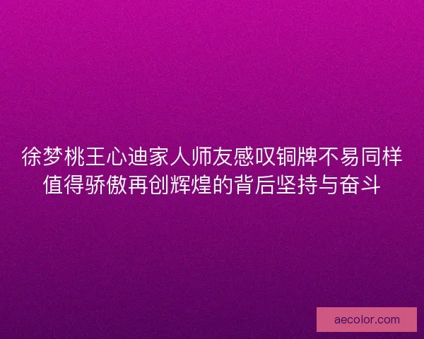 徐梦桃王心迪家人师友感叹铜牌不易同样值得骄傲再创辉煌的背后坚持与奋斗