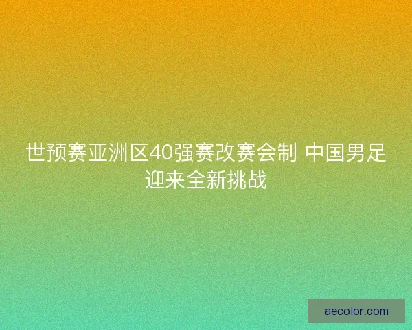 世预赛亚洲区40强赛改赛会制 中国男足迎来全新挑战