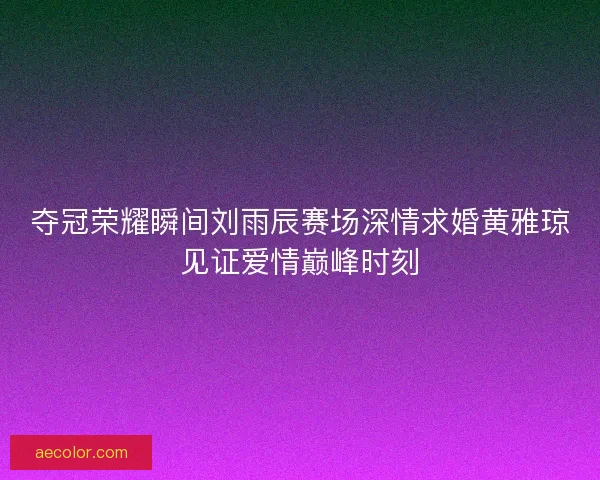 夺冠荣耀瞬间刘雨辰赛场深情求婚黄雅琼见证爱情巅峰时刻
