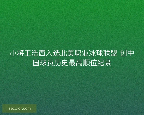 小将王浩西入选北美职业冰球联盟 创中国球员历史最高顺位纪录